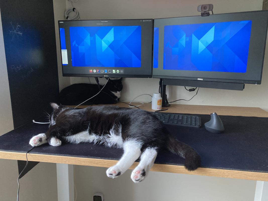 Find the server.